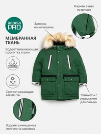 13.01 Acoola ������ ������� ��� ��������� Corrino 20120770009 �������