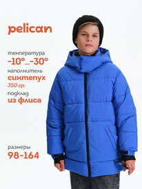 13.01 Pelican ������ ��� ��������� BZXZ3362/12/1 �����������