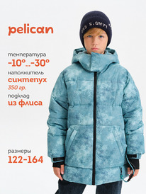 13.01 Pelican ������ ��� ��������� BZWZ3378/1 ���