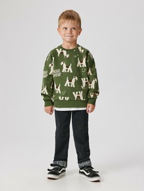 13.01 Acoola ����� ��������� (����������) ������� ��� ��������� Don 20120440098 