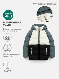 ����� �� 30.01 Acoola ������ ������� Darwi 20310650006 ������������