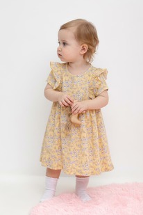 Crockid ������ �/��� �� �� 5733/������� ������,������� ����� �481