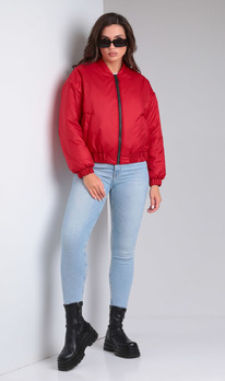 ������ Modema 1051-1 �������