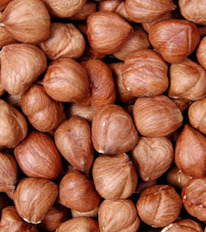 ������ 200 ��