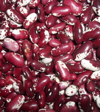 ������ �������� 1 ��