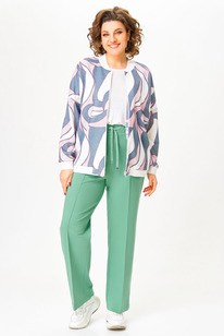 ����� Swallow 801.1 ����