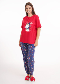 25.03  Clever ������ �������CLE LP15-1202/3 �������/�.�����