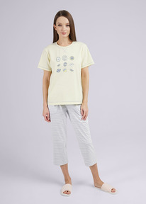 25.03  Clever ������ �������CLE LP24-1102/2 ��.�������/��������