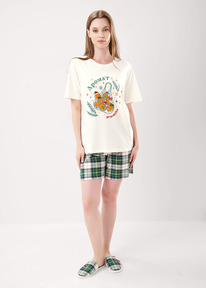 25.03  Clever ������ �������CLE LP15-1199/1 ��������/�.������