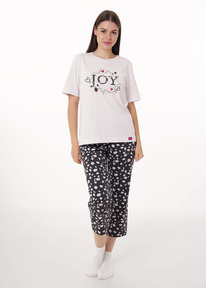 25.03  Clever ������ �������CLE LP15-1187/2 ��.�����/�.�����