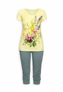 25.03  Pelican ������ �������PTB683 Lemon