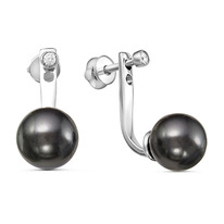 ������ � ���.�������� 