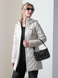 ������ DizzyWay 26108 ��������