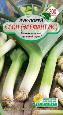 ���� (������� ��) ��� �����