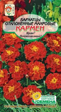 ������ �������� ����������� ��������