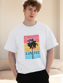 Vilatte ��������� ��������  � ��������� ������� U49.048 �����_sunset