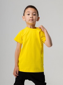 24.03 Bodo �������� 113-��6�� 113-��6�� ������