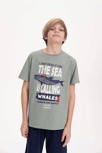 Pelican �������� ��� ��������� BFT3371 ������-�������