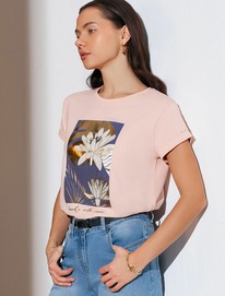 27.03  Vilatte ��������� �������� � ������� �� ������������ ������ � ��������� D