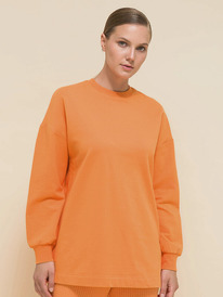 21.04 Pelican ������� ������� PFJ6930/1 ���������