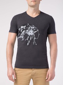 22.03  DiWaRi ������� ������� DIWARI ������� MD 750 17�-435��� ������ MD 750