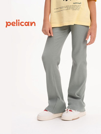 24.03 Pelican ����� ��� ������� GFL3352 ������-�������