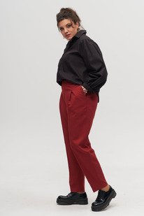 ����� ANELLI 895 ��������