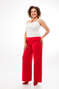 ����� ANELLI 1400 �������