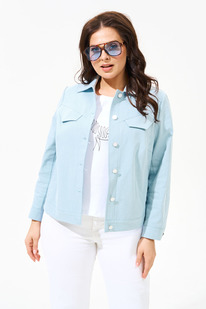 ������ IVA 1565 �������