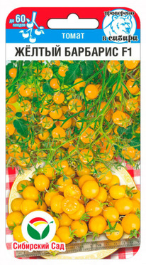 ����� ����� ������ �������� F1