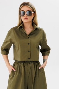 ������� AmberA 1088� ����