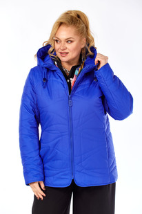 ������ SHETTI 2211 �������