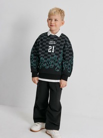 22.04 Acoola ������� ������� ��� ��������� Peregrin 20120170200 ������ �����