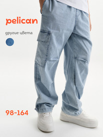 08.04 Pelican ����� ��� ��������� BGP3373 �������
