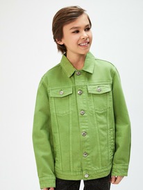 08.04 Acoola ������ ��������� ������� ��� ��������� Nidoran 20130750003 �������