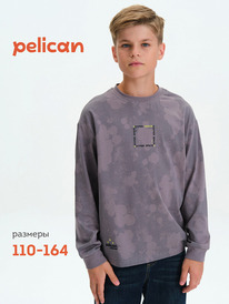 22.04 Pelican ������� ��� ��������� BFJ3377 �����