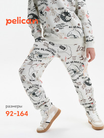22.04 Pelican ����� ��� ��������� BFPQ3389/3 ��������