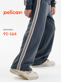 22.04 Pelican ����� ��� ��������� BFPQ3389/1U �����