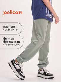 22.04 Pelican ����� ��� ��������� BFPQ3321U ������-�������