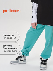 22.04 Pelican ����� ��� ��������� BFPQ3321U ������� �����