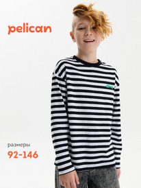 12.04  Pelican ������� ��� ��������� BFJ3389U ������