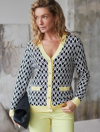 09.04  Vilatte �������� � V-������� ����������� ����� � ������� ���� D31.152 ���