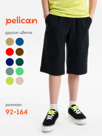22.04 Pelican ����� ��� �������� BFH3352U ������