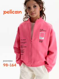 12.04  Pelican ��������� ��� ������� GFXS3388U �������