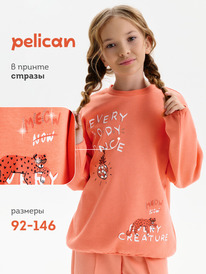 12.04  Pelican ��������� ��� ������� GFN3390 ����������