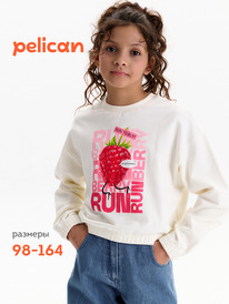 12.04  Pelican ��������� ��� ������� GFNY3388 ��������