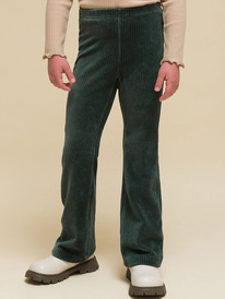 12.04  Pelican ����� ��� ������� GFPQ3337 ����