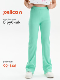 12.04  Pelican ����� ��� ������� GFL3352//2 ������