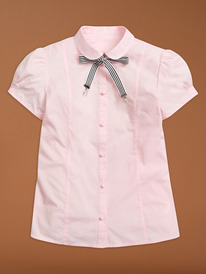 12.04  Pelican ������ ��� ������� GWCT8099 �������