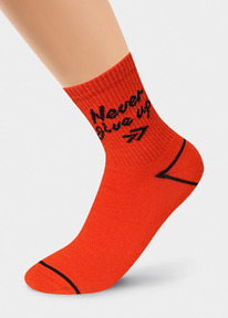 �����  Clever ����� ������� CLE �4284 24 �������